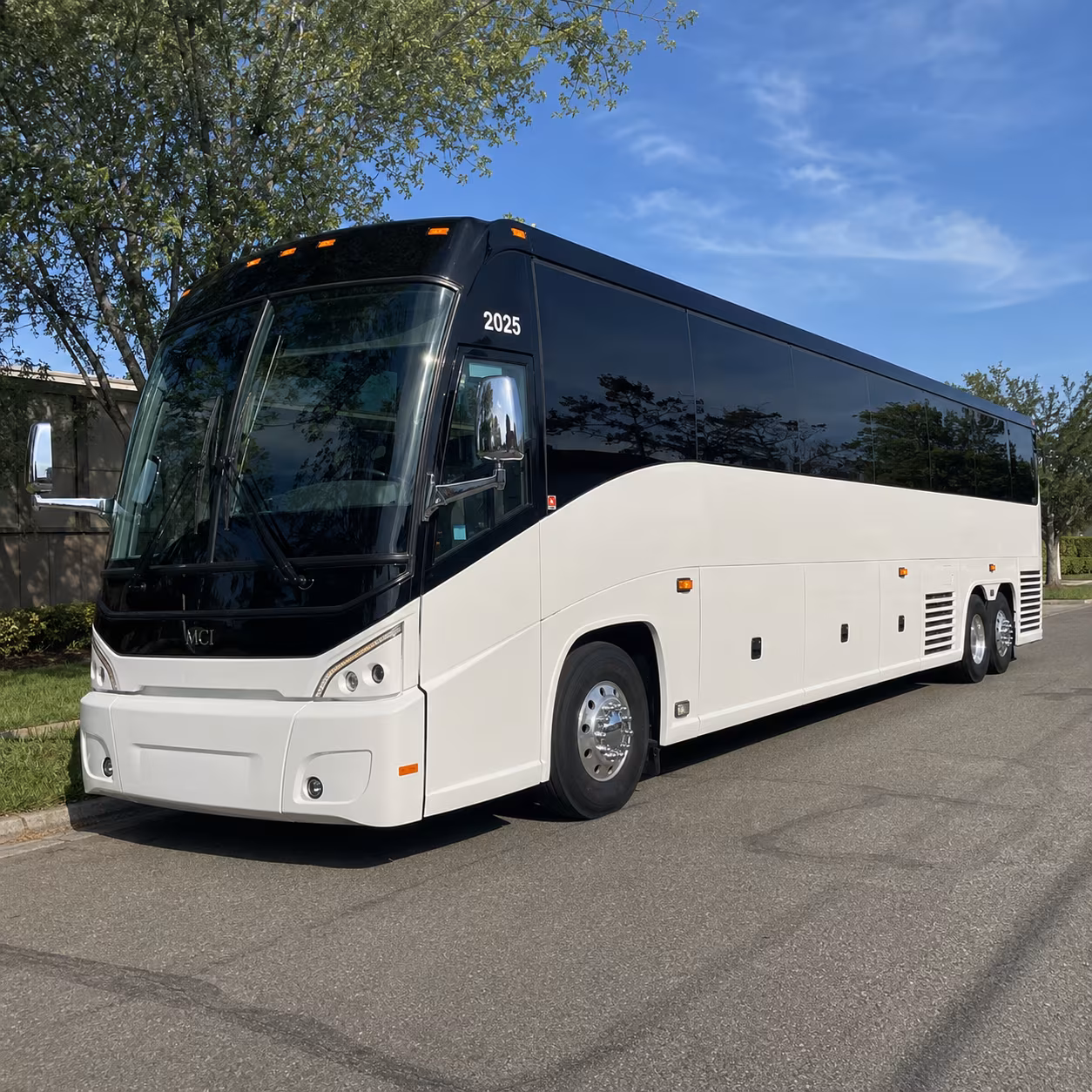 youth group buses for outings to knott s berry farm disneyland and angel stadium